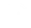New Project (1)